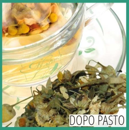 Tè Tisana Dopo Pasto Natura Life 27 filtri
