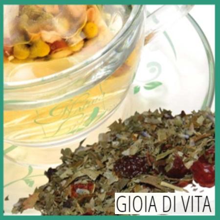 Tè Tisana Gioia di Vita Natura Life 27 filtri