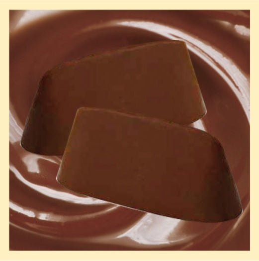 Gianduia Schokolade in 32g Einzelportionen