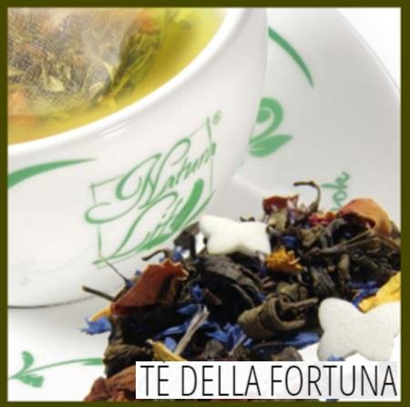 Green Tea Natura Life Fortune Tea 27 filters
